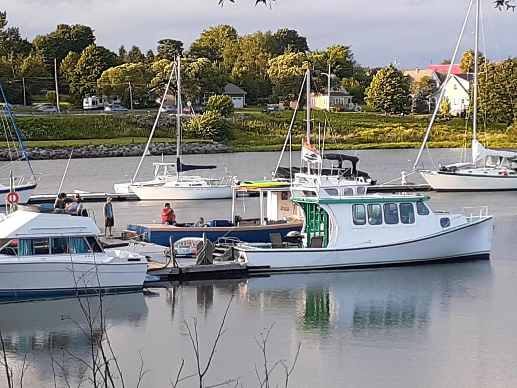 Waterside Apts. Lejlighed Cardigan Eksteriør billede